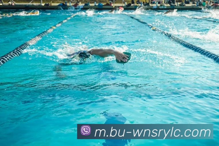 威尼斯人官网发展历程